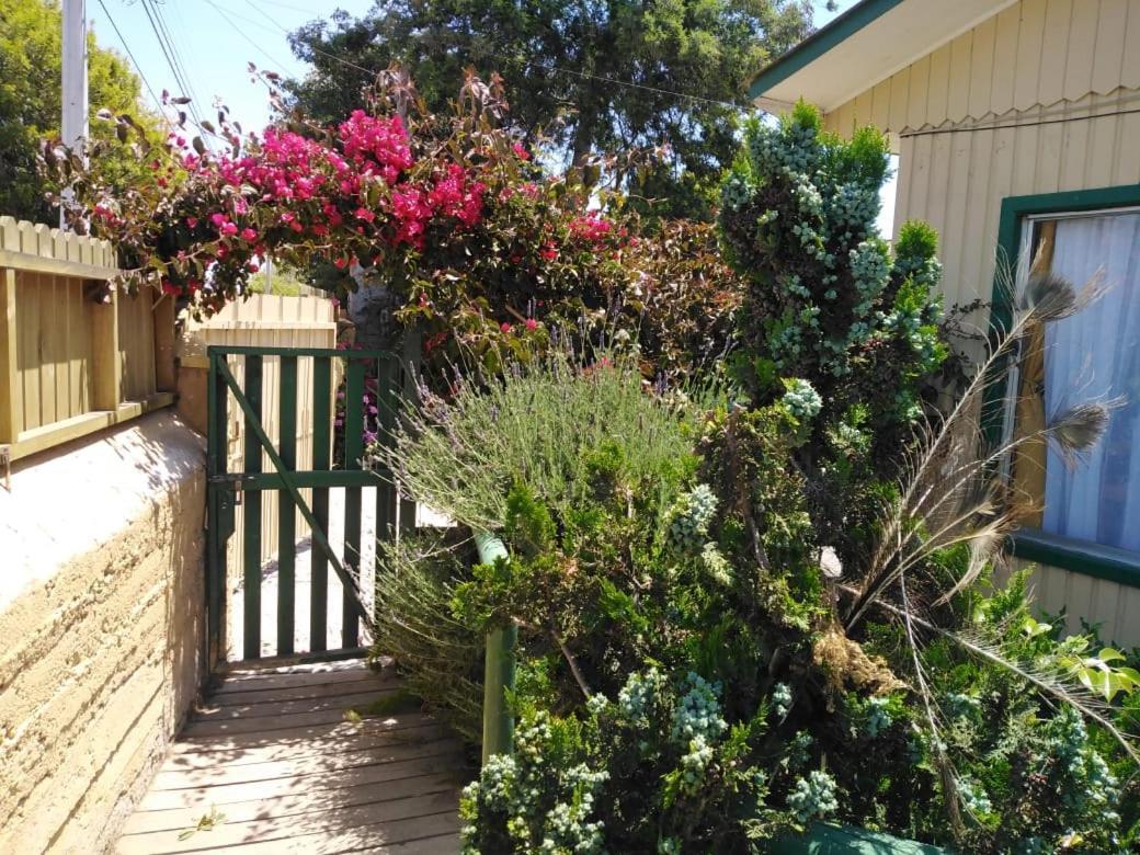 Cabanas Aire Marino אלגרובו מראה חיצוני תמונה