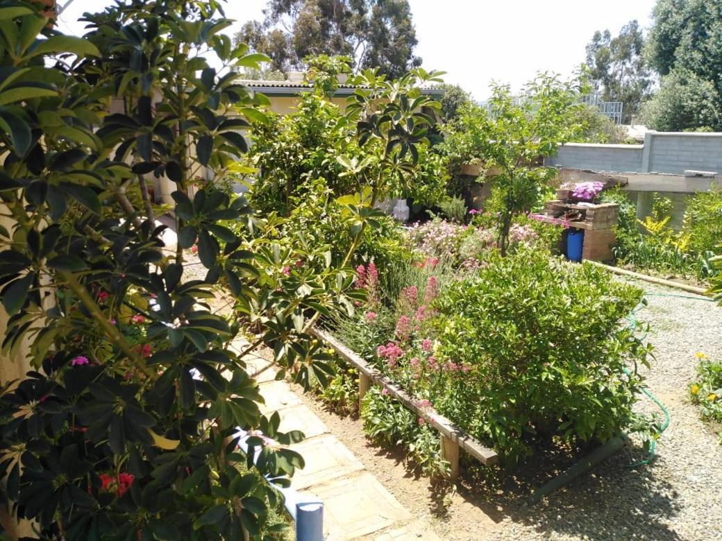 Cabanas Aire Marino אלגרובו מראה חיצוני תמונה