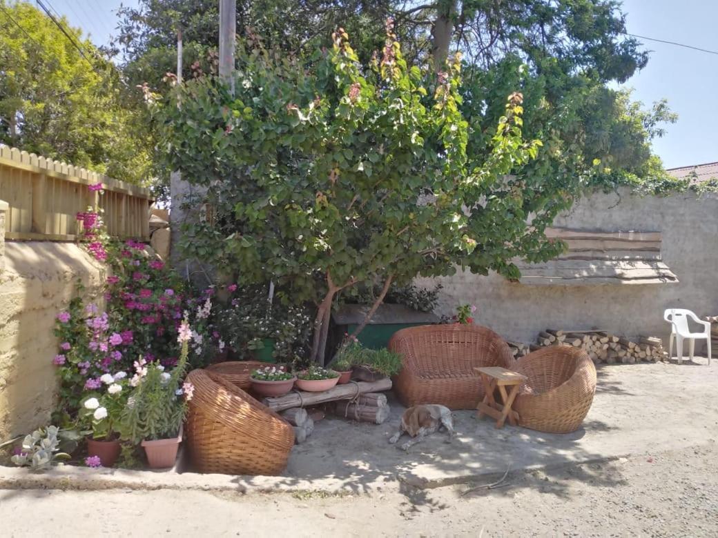 Cabanas Aire Marino אלגרובו מראה חיצוני תמונה